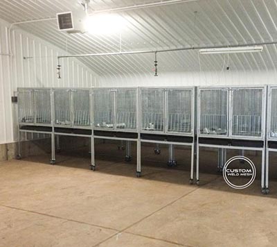 poultry enrichment cage egg production cage poultry unit cages university poultry unit 